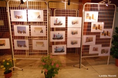 Exposition Paul Samanos