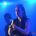 DSC 0429
