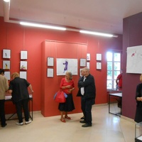 Expositions Eclatees FHD15