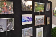 HandiVers Horizons  5 