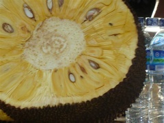 Durian