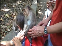 Sur Nadine  touché par Brigitte et Jérôme