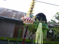 11 sont les produits de la récolte