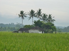 3 au milieu