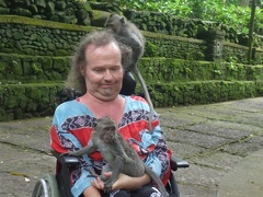 Alain et les singes