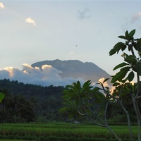 Bali 2012