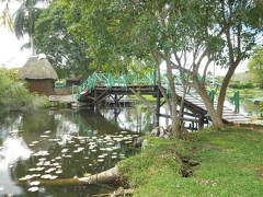 8 Les 2 jolis ponts  pentus