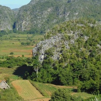 Vinales