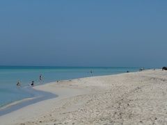 P1000763