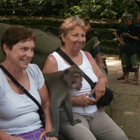 Monkey Forest