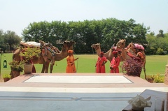 Match de polo de dromadaires (15)