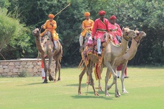 Match de polo de dromadaires (13)