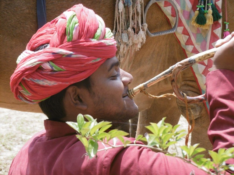 Match de polo de dromadaires (16).jpg