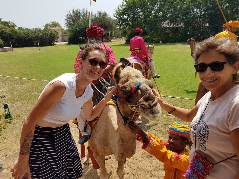 Match de polo de dromadaires.jpg