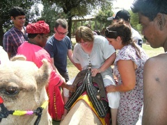 Un tour en dromadaire (7)
