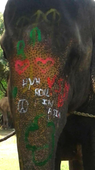 Eléphant HVH et RIA.jpg