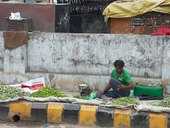 La vie indienne (2)