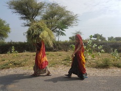 La vie indienne (6)