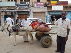 La vie indienne (5)
