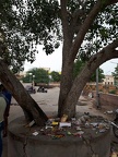 La vie indienne (34)