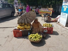 La vie indienne (42)