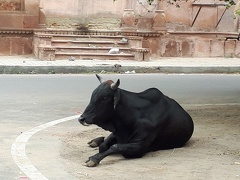 La vie indienne (45)