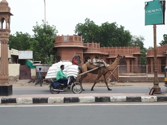 La vie indienne (47)