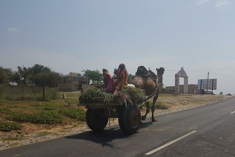 La vie indienne (55).jpg