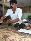 Les Indiens (4)