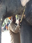 Les Indiens (25)