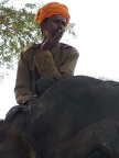 Les Indiens (28)