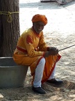 Les Indiens (27)