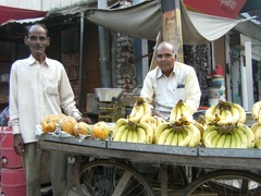 Les Indiens (32)