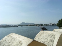 Udaipur (3)