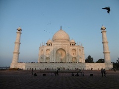 Le Taj Mahal (16)