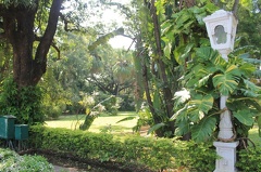 Jardin (3)