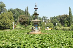 Jardin (7)