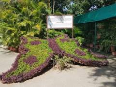 Jardin (11)