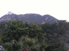 Jardin (10)
