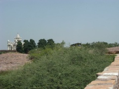 Jardin (13)