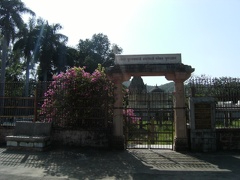 Jardin (14)