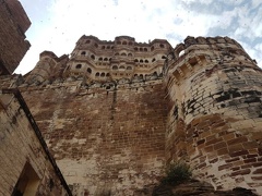 Jodhpur (15)