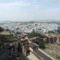 Jodhpur