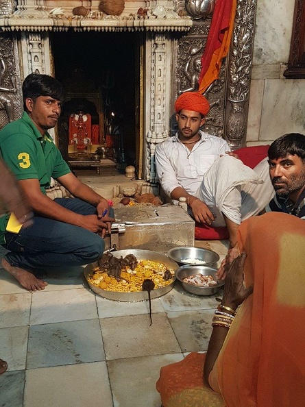 Temple des rats (6).jpg