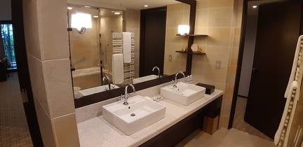 Hotel Hyatt Regency