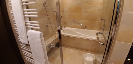 Hotel Hyatt Regency 02