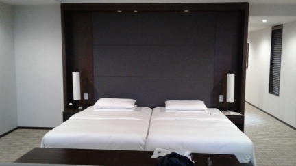 Hotel Hyatt Regency 12