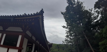 Ile de Miyajima 25