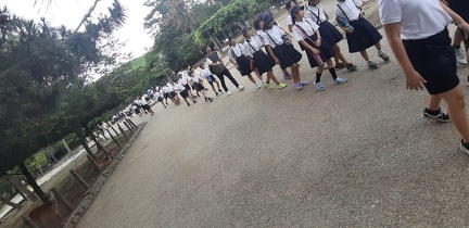 Ile de Miyajima 33