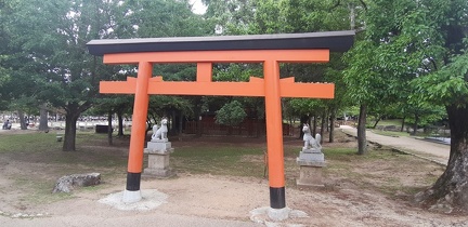 Ile de Miyajima 35
